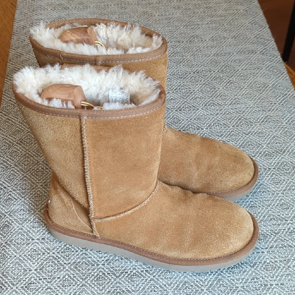 UGG Short Chestnut Suede Boots With Plush Lining